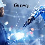Gldyql: The Future of Digital Identity and Engagement