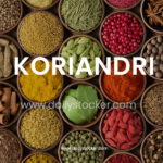 Koriandri: The Flavorful Herb with Timeless History, Wellness Benefits, and Global Appeal