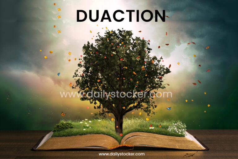 Duaction-768x512 Home