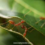 Hormita: Where Wild Landscapes and Living Ecosystems Meet