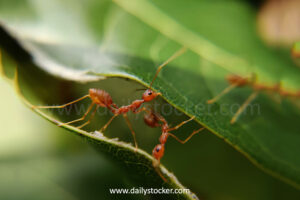 Hormita: Where Wild Landscapes and Living Ecosystems Meet