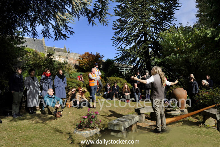 lufanest-768x512 Home